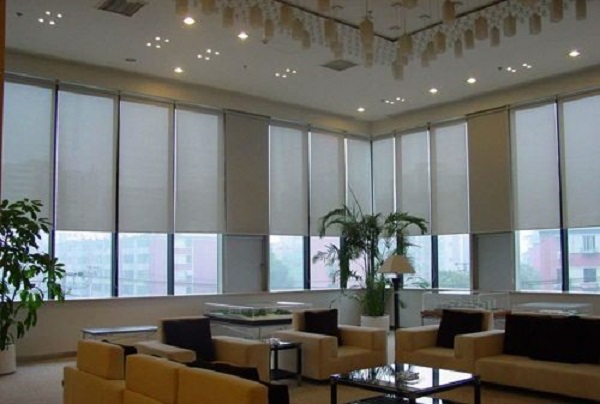 Có thể trang trí ở nhiều không gian môi trường khác nhau